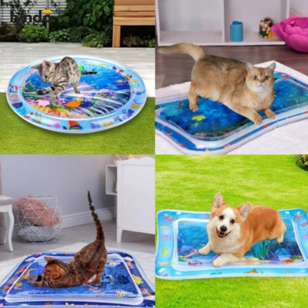 PAWPLASH | SPEELPLEZIER EN STIMULATIE VOOR HUISDIEREN