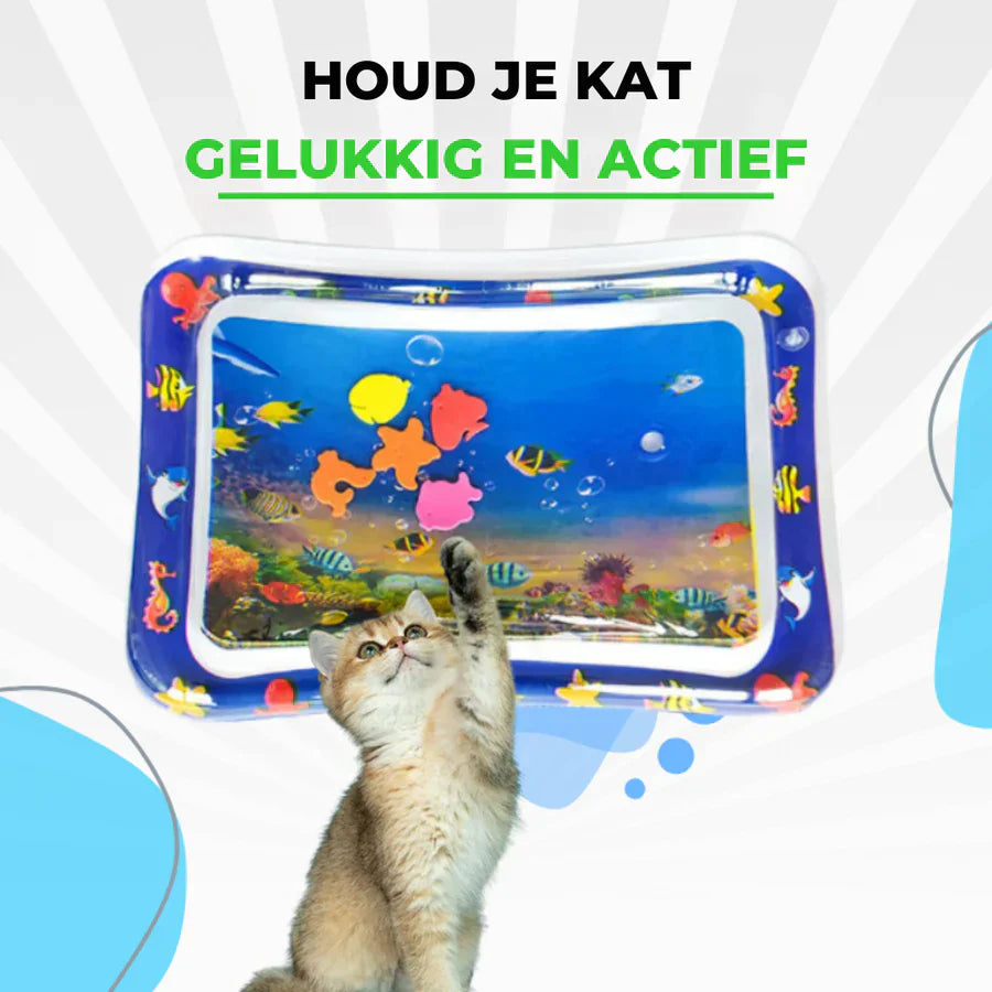 PAWPLASH | SPEELPLEZIER EN STIMULATIE VOOR HUISDIEREN